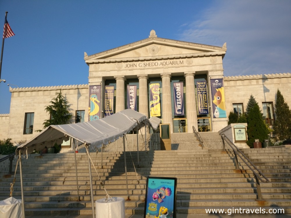 The Field museum 