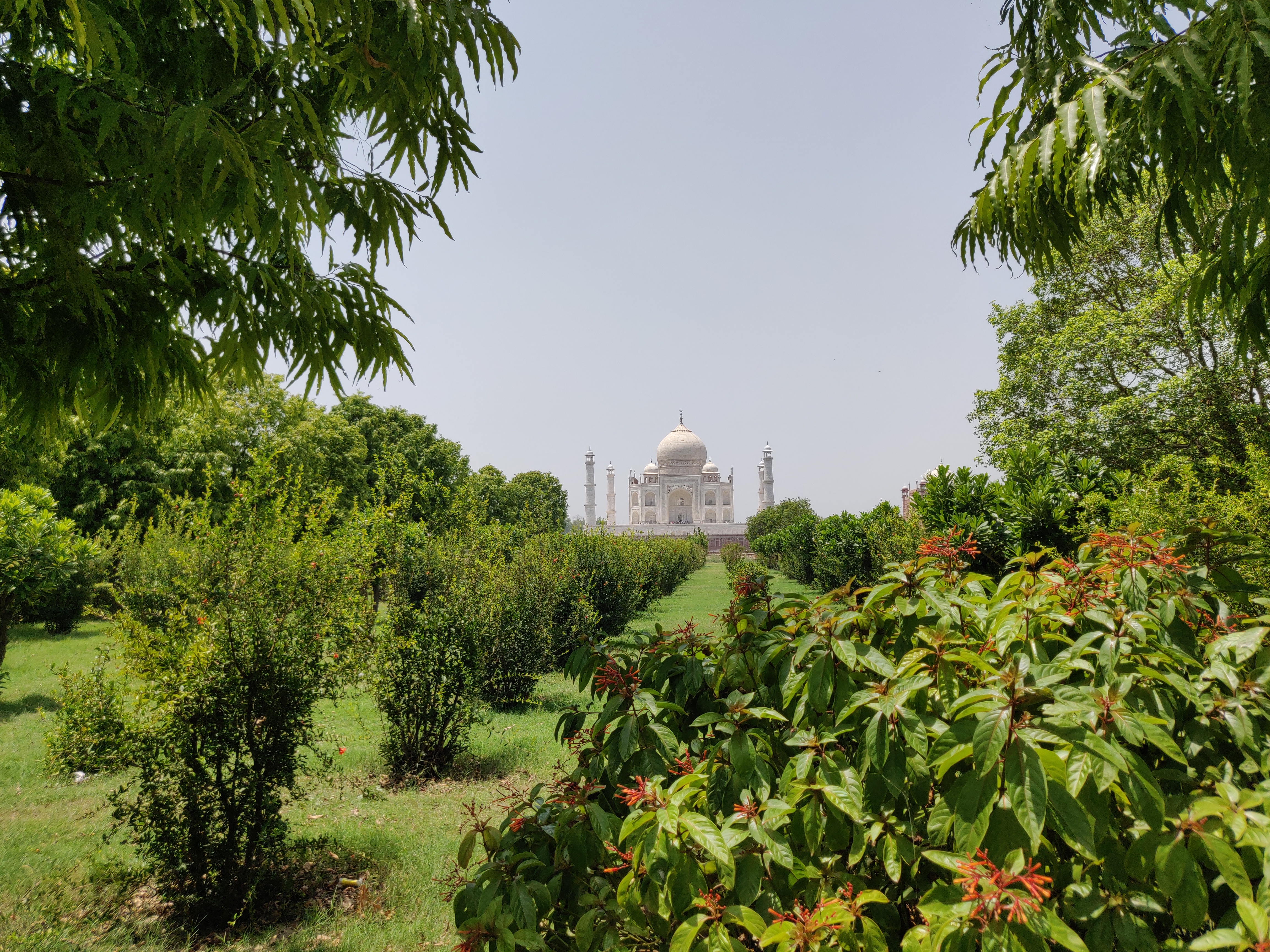 Taj Mahal from Mehtab Bagh gardens